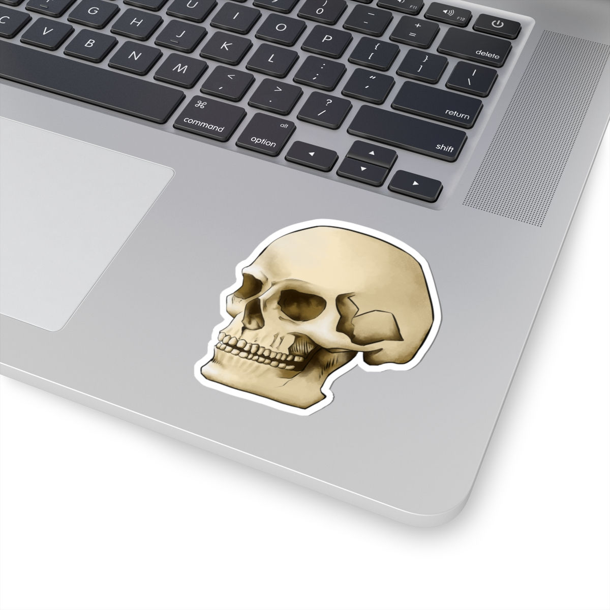 Skull Sticker