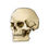Thumbnail: Skull Sticker