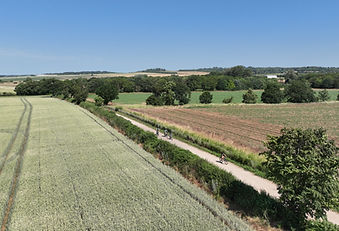 image_123650291.JPG