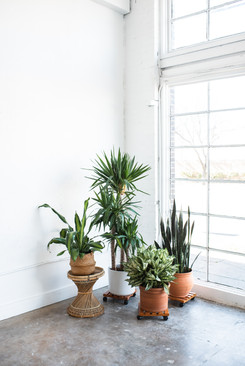 Modern Furniture-18.jpg