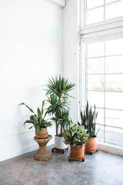 Modern Furniture-18.jpg