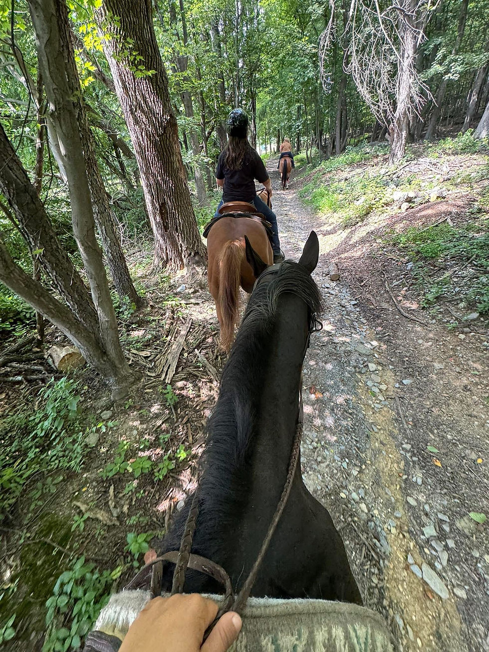 Friday Night Trail Ride