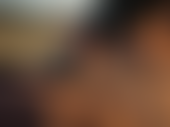 Horse Blanket Care Guide: Care Tips for Your Horse Blankets