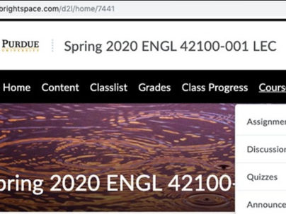 Brightspace Quick Guide Cover_edited.jpg