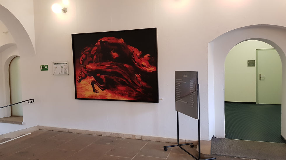 Ausstellung Rathaus Torgau 2019