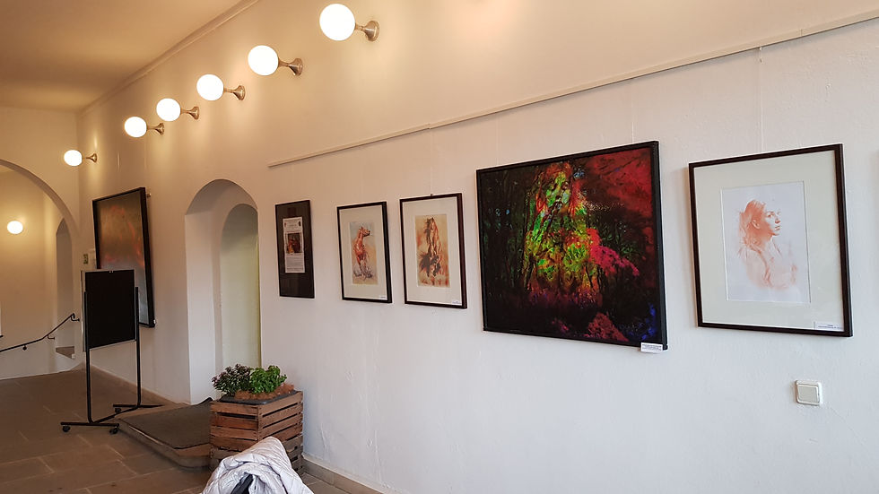 Ausstellung Rathaus Torgau 2019