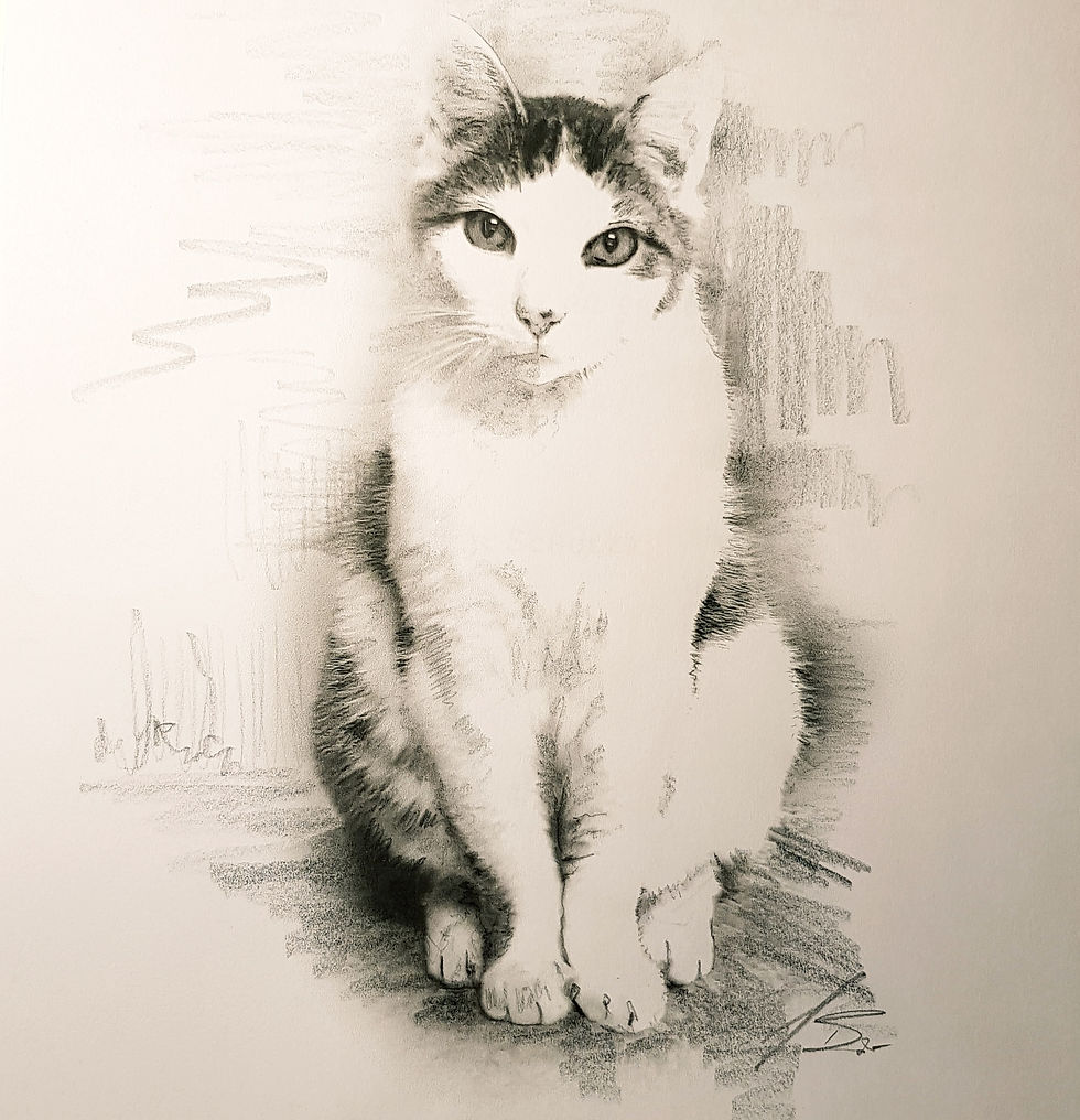 Ausstellung Gläserne Galerie Torgau 2018