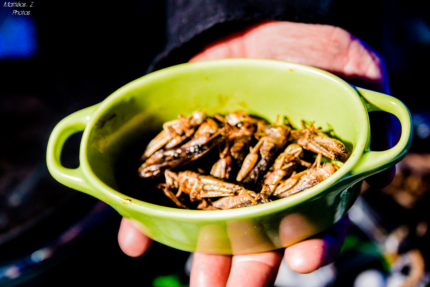 Dégustation insectes, fakir linja
