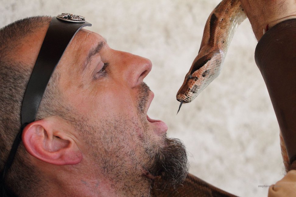Charmeur de serpents Linja