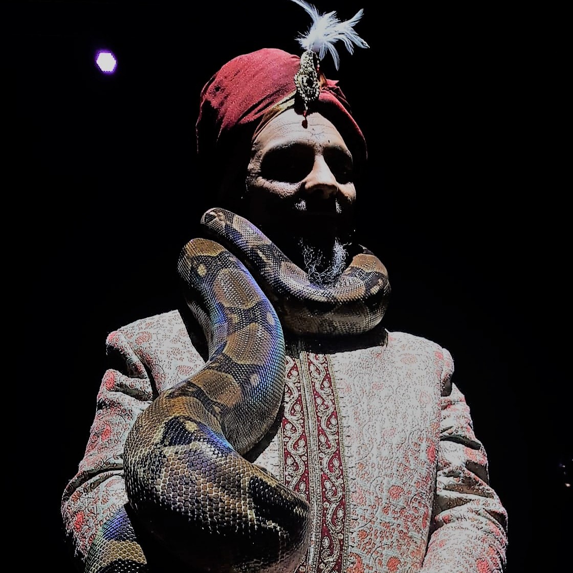 Charmeur de serpents Linja