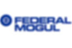 Federal Mogul Corporation | M. Dybas