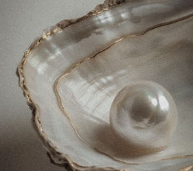 WhatsApp Image 2026-02-25 at 11.54.53 AM (1).jpeg