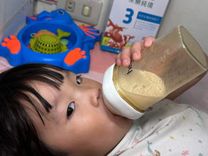 Holle配方奶 成分單純 無多餘人工添加