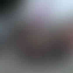 Palácio Cruz e Souza - Museu Histórico de Santa Catarina