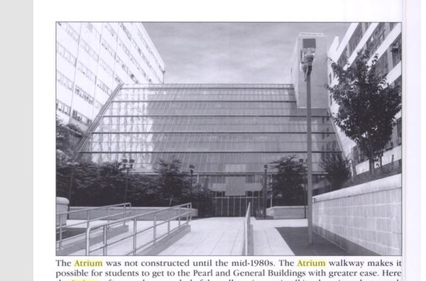 atrium mid eighties.jpg