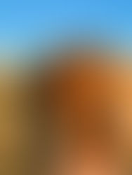 Pan de khorasan ecológico: Un trigo antiguo, saludable y de proximidad