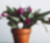 purple tulip flowers in orange vase.jpg