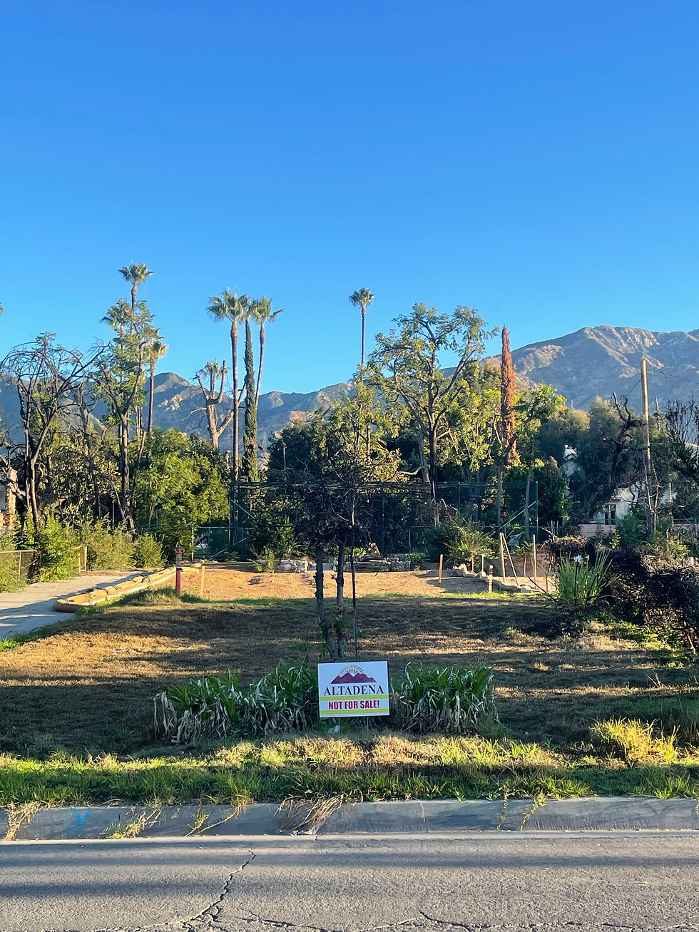 When the Fires Stopped Burning in Altadena