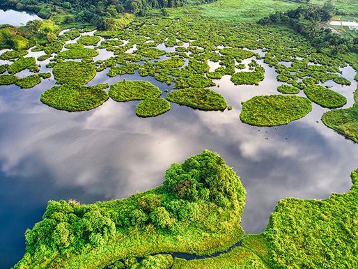 世界地球日 𝐄𝐚𝐫𝐭𝐡 𝐃𝐚𝐲|從聲學隔間開始的淨零行動