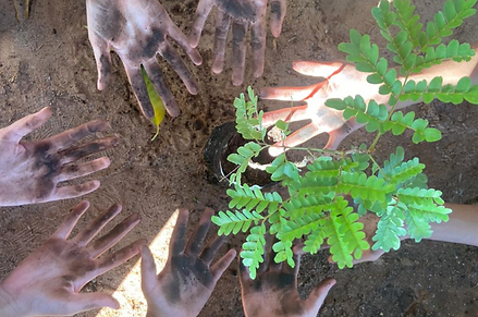 Captura de Tela 2025-11-12 às 15.18.55.png