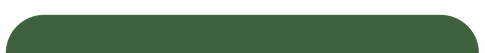 Logo vector Web-13 (2).png