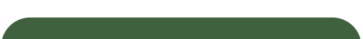Logo vector Web-13 (2).png