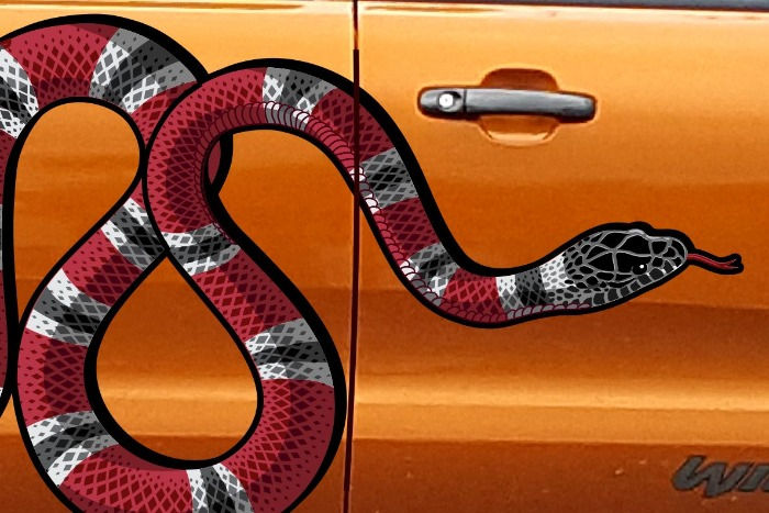 Thumbnail: Ford-Ranger-Gucci-Snake-Decal