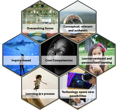 7 key principles (2).png