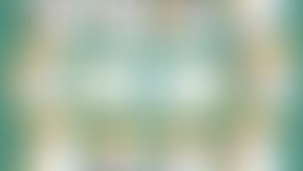 Values for co-production between Young People + Organisations