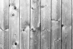 Wooden Plank Transparent