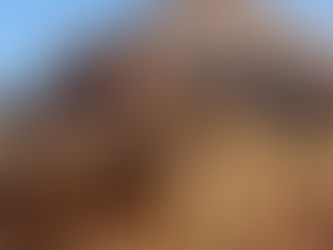 Camellos en Wadi Rum