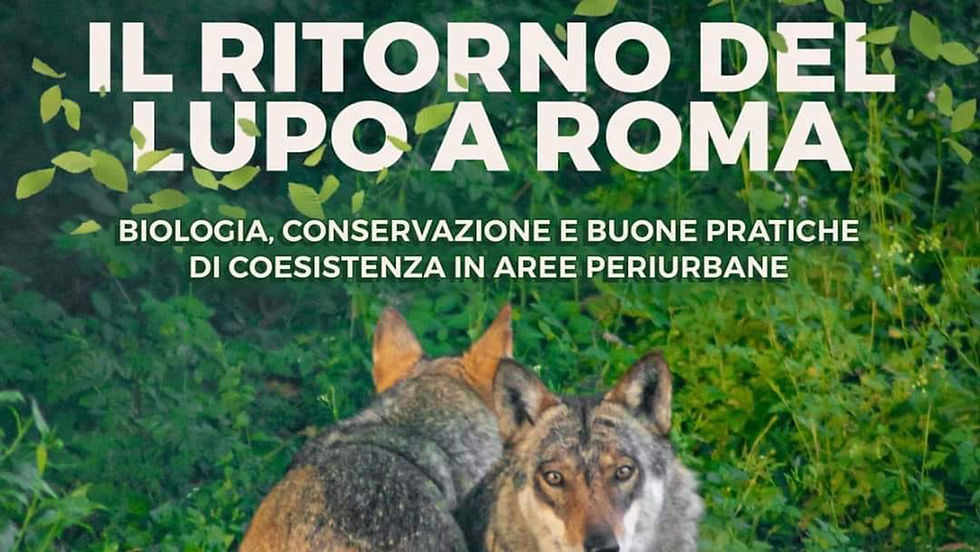THE RETURN OF THE WOLF TO ROME