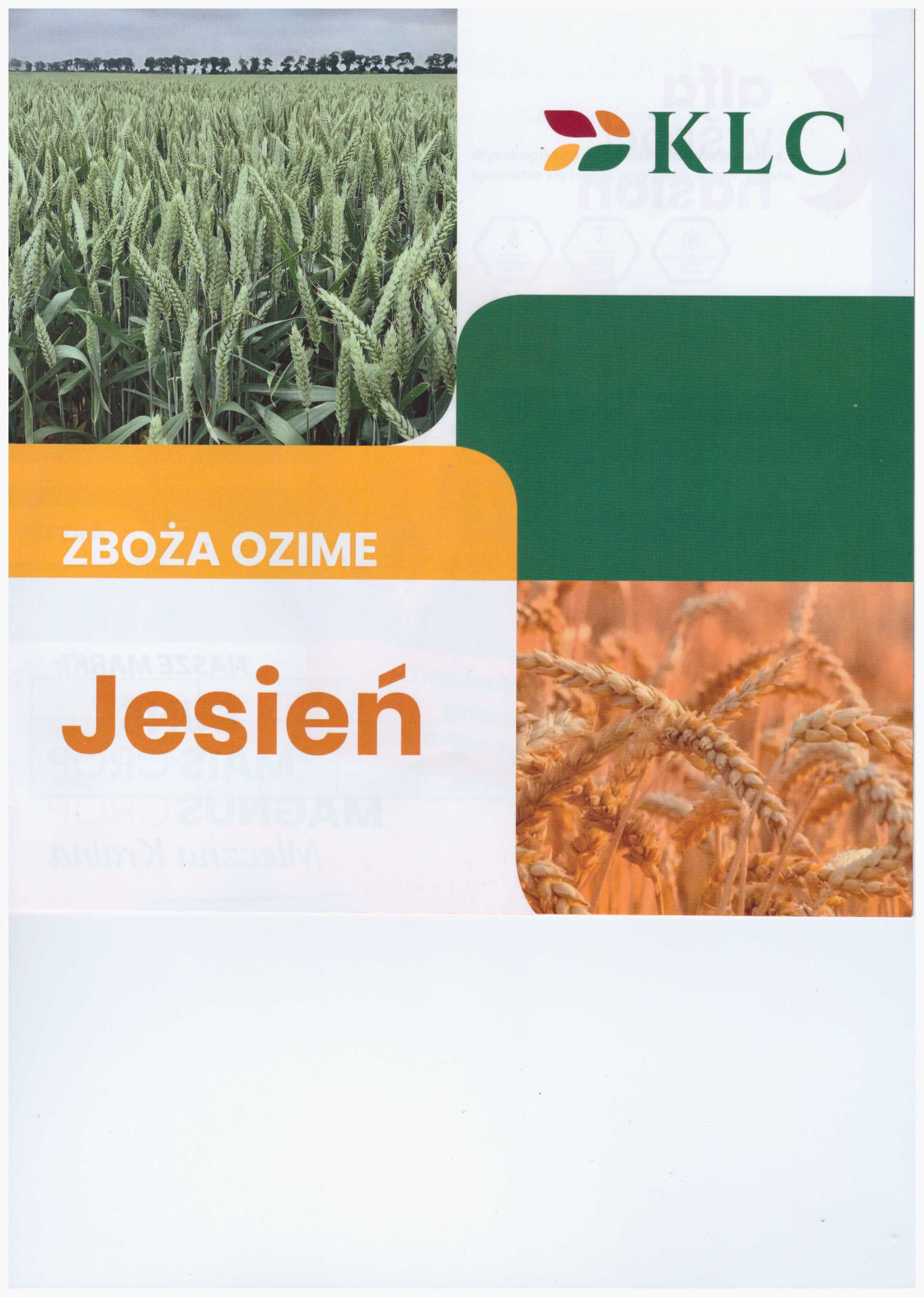 Zboża Ozime Jesień 2025