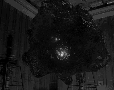 WHAT HAVE I DONE.gif