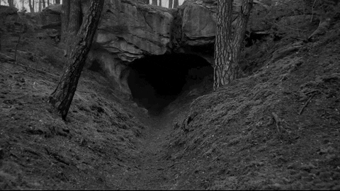 MIRRORED ELSEWHERE.gif