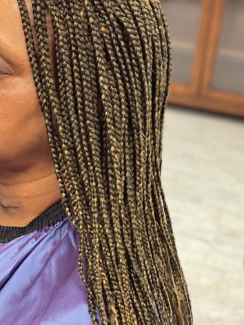 Small box braids.jpeg