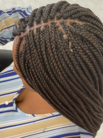Small box braids.jpeg
