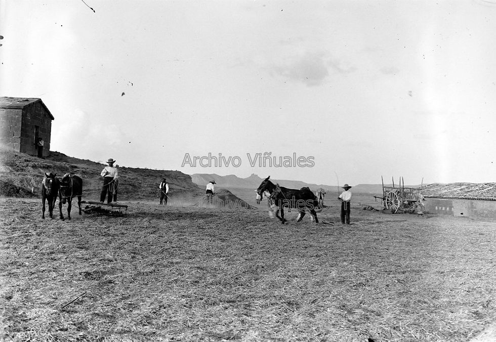 Trillando en las eras. Huesca, 1914