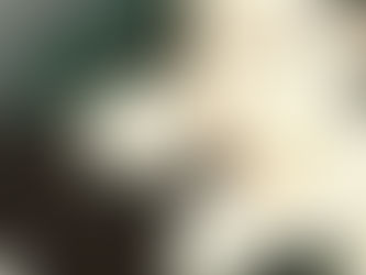 Meet @owlett_meg_yoga sharing her #yogasavedmylife story with us 💚