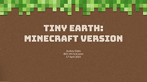 Tiny Earth:  Minecraft Version by Audrey D. 