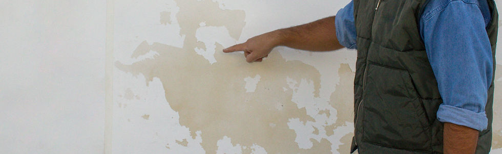 shutterstock_2298307249 (2) (1).jpg