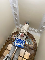 MORHENG PEINTURE DECORATION RENOVATION  ROBIN Peintures d'intérieur Arts de la nature.JPEG
