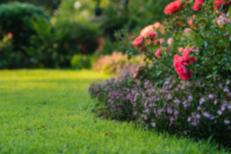 Jardin fleurit