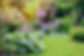 Jardin fleuri