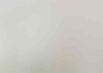Fleurs blanches utilisées dans une scénographie de mariage épurée