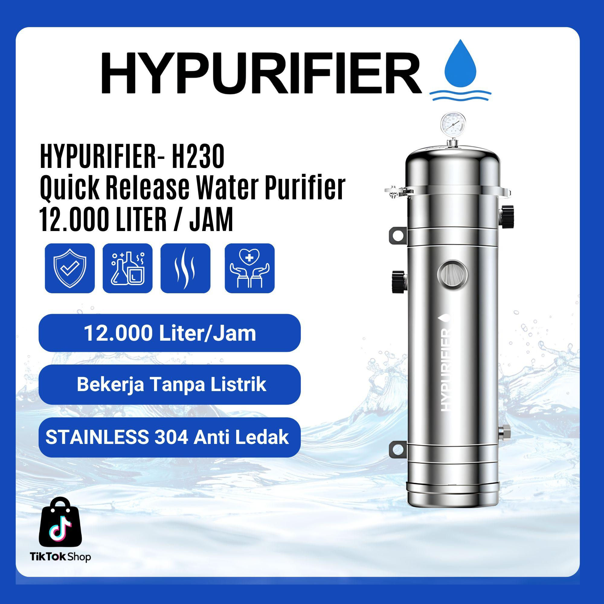 Hypurifier Main Filter