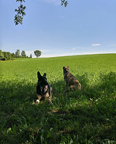 20160824_113500_HDR.jpg