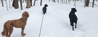 PXL_20240203_201345945.jpg