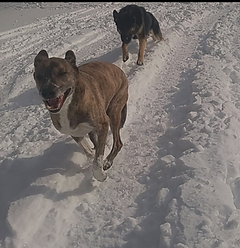 Screenshot_20211018-065427(1).png