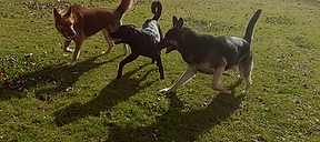 Screenshot_20191106-140518.png